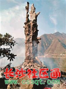 cM(jn)һ